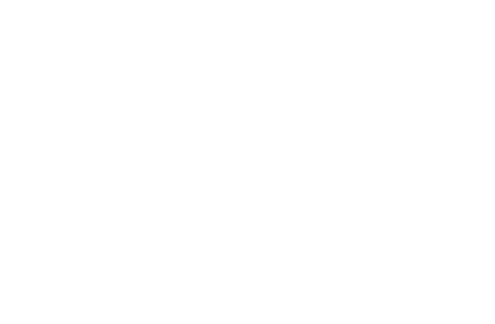 stylized tokamak