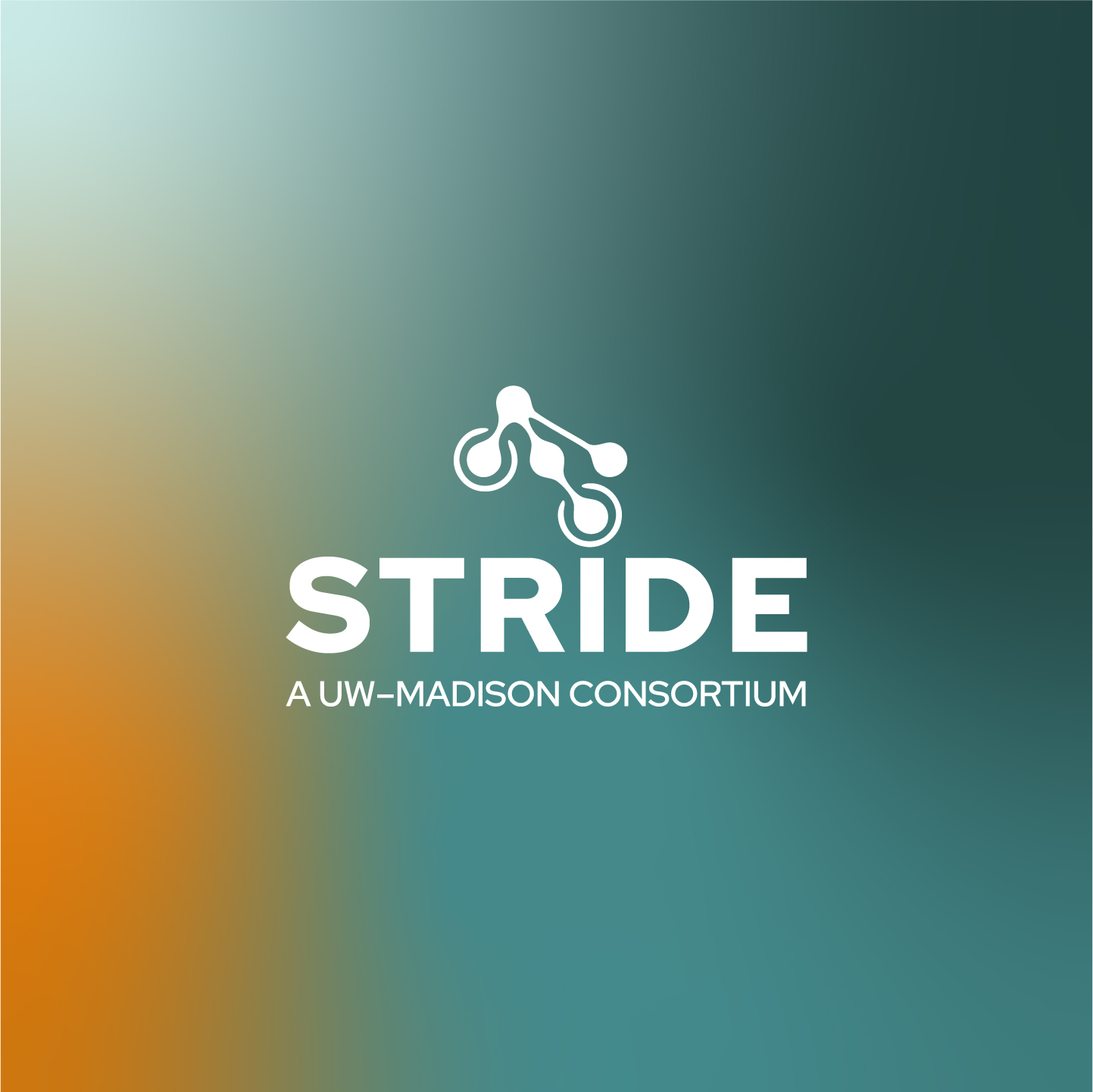 STRIDE a UW Madison Consortium