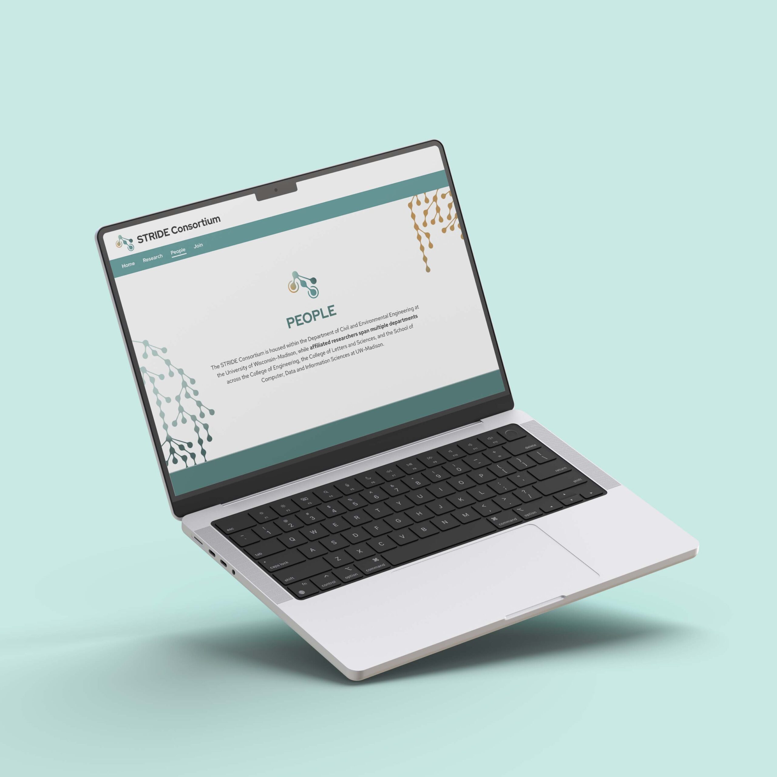 computer screen with STRIDE webpage