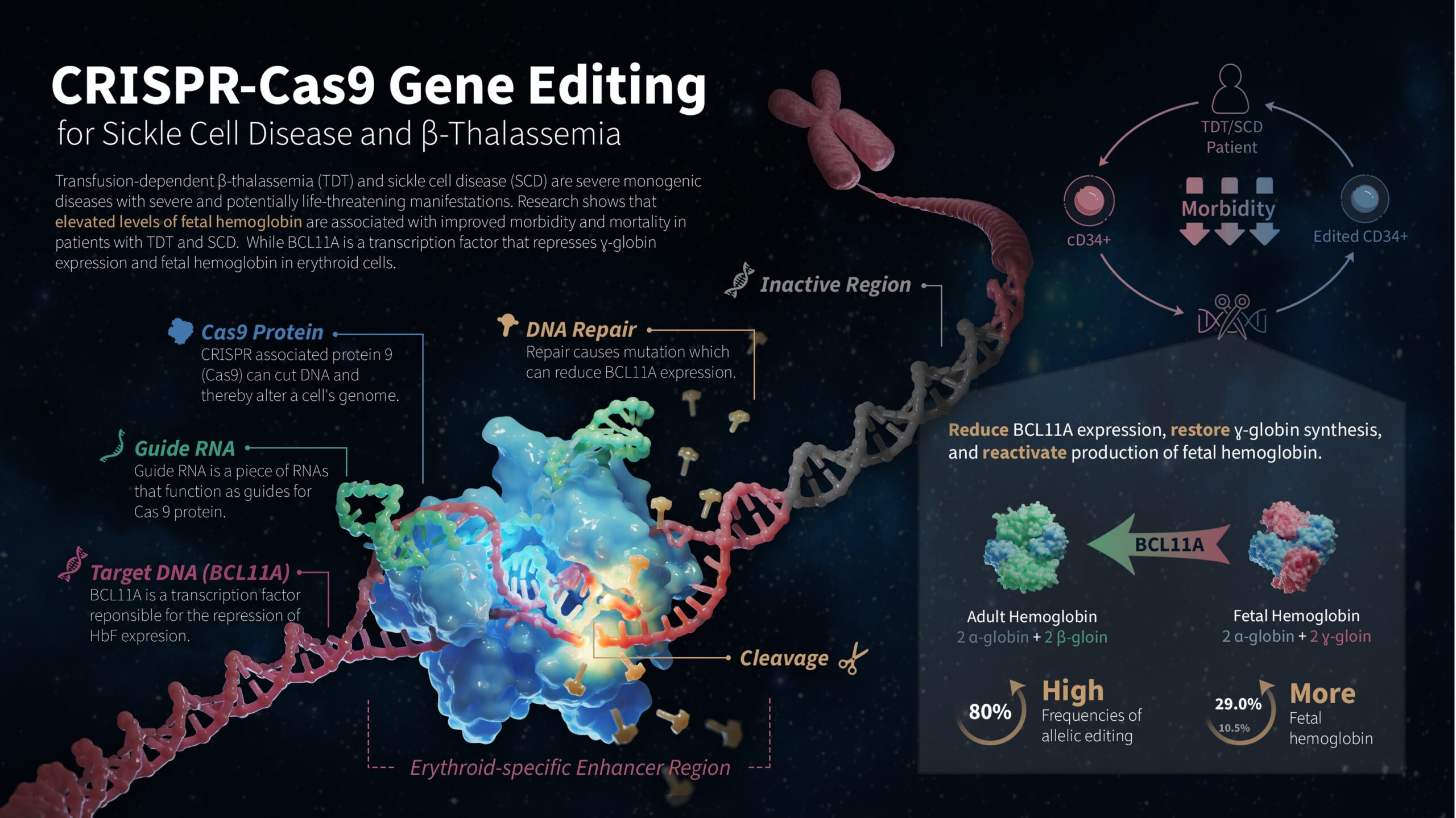 3D rendering of gene editing