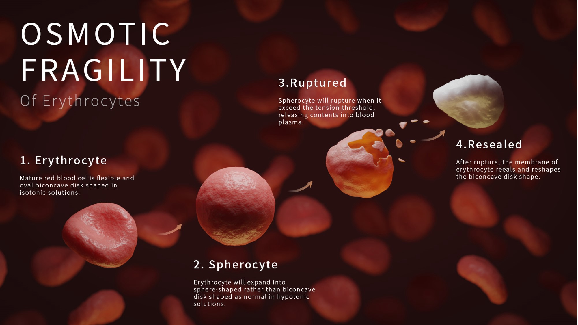 high-res 3D rendering of a blood cell